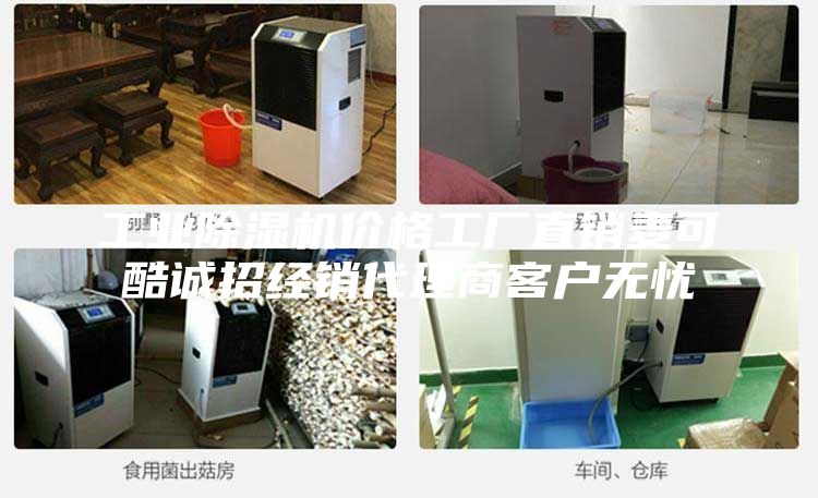工业除湿机价格工厂直销麦可酷诚招经销代理商客户无忧