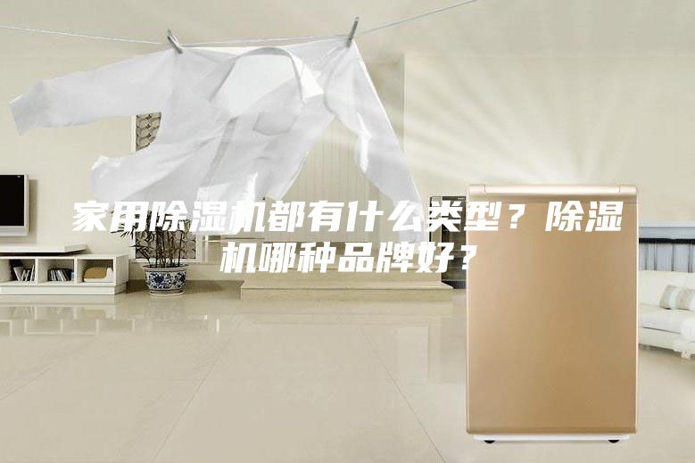 家用除湿机都有什么类型？除湿机哪种品牌好？