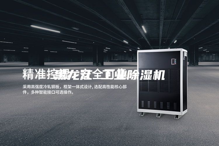 黑龙江 工业除湿机