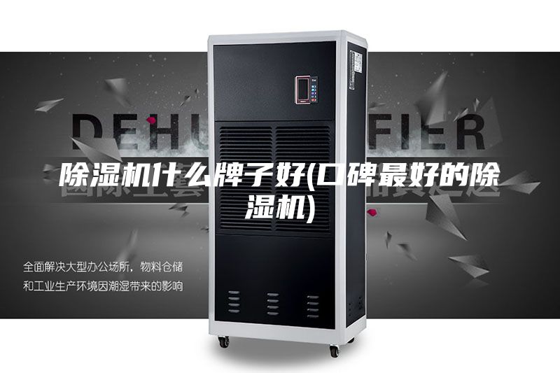 除湿机什么牌子好(口碑最好的除湿机)