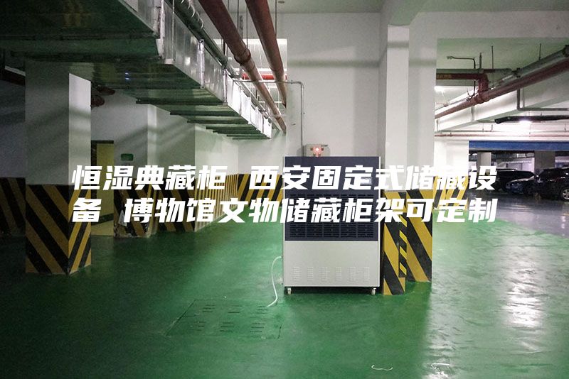 恒湿典藏柜 西安固定式储藏设备 博物馆文物储藏柜架可定制