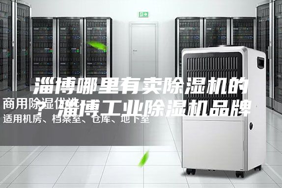 淄博哪里有卖除湿机的？淄博工业除湿机品牌