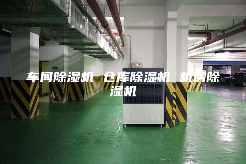 车间除湿机 仓库除湿机 机房除湿机