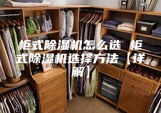 柜式除湿机怎么选 柜式除湿机选择方法【详解】