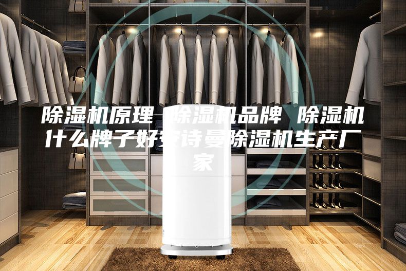 除湿机原理 除湿机品牌 除湿机什么牌子好安诗曼除湿机生产厂家