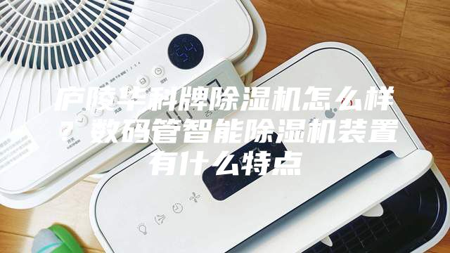 庐陵华科牌除湿机怎么样？数码管智能除湿机装置有什么特点