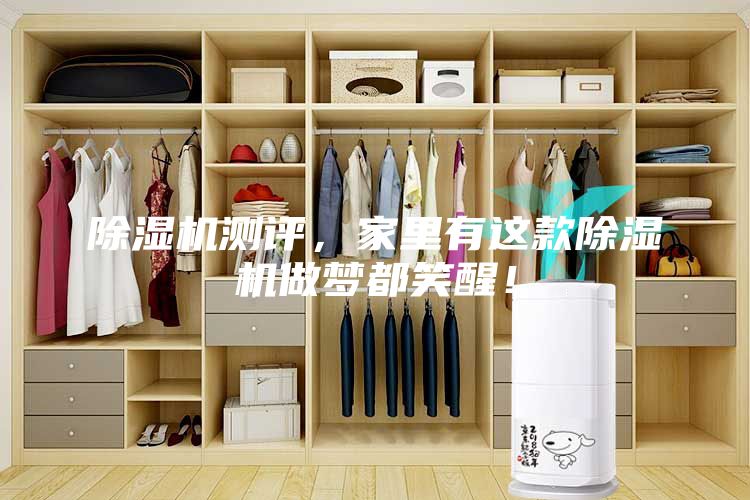 除湿机测评，家里有这款除湿机做梦都笑醒！