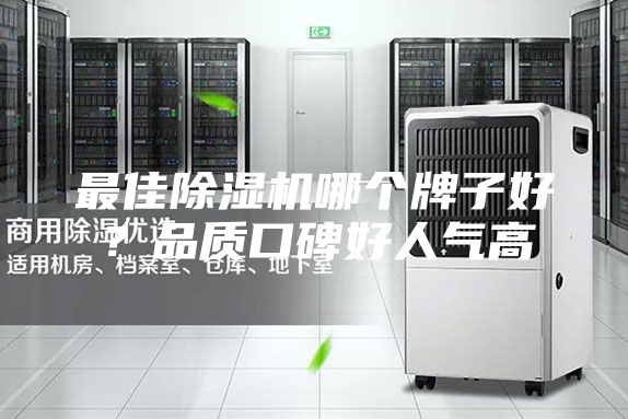 最佳除湿机哪个牌子好？品质口碑好人气高