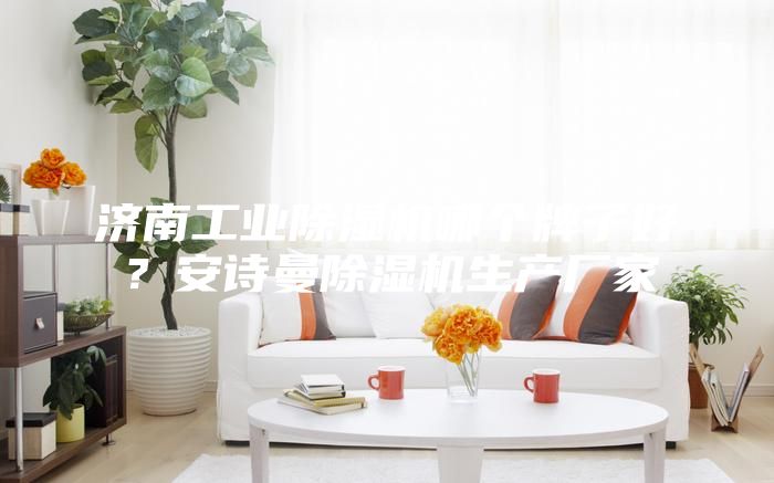 济南工业除湿机哪个牌子好？安诗曼除湿机生产厂家