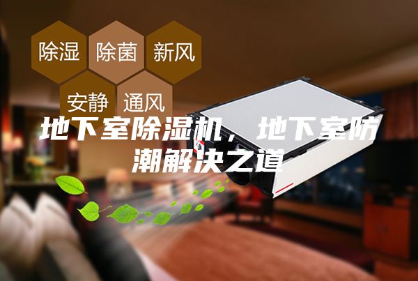 地下室除湿机，地下室防潮解决之道