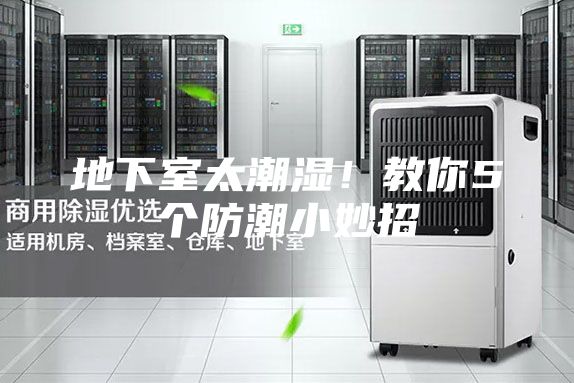 地下室太潮湿！教你5个防潮小妙招