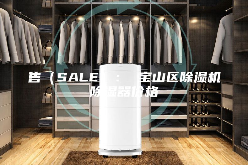 售（SALE）： 宝山区除湿机除湿器价格