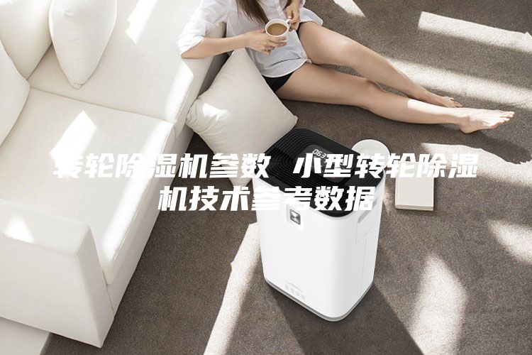 转轮除湿机参数 小型转轮除湿机技术参考数据