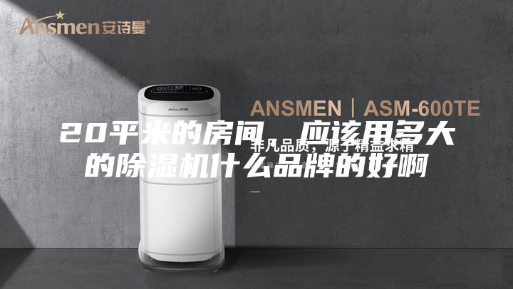 20平米的房间，应该用多大的除湿机什么品牌的好啊