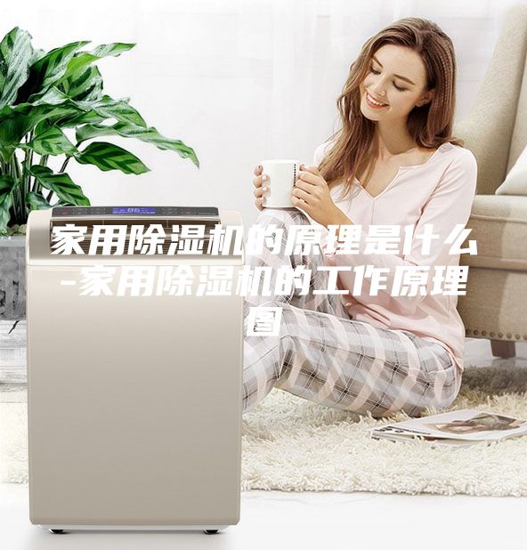 家用除湿机的原理是什么-家用除湿机的工作原理图
