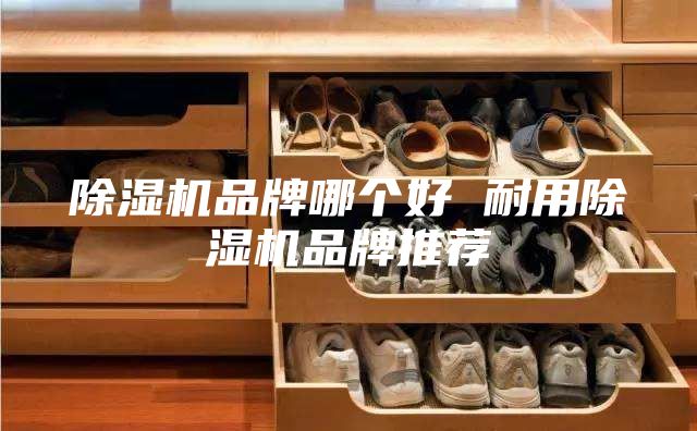 除湿机品牌哪个好 耐用除湿机品牌推荐