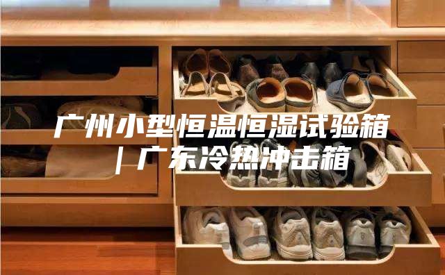 广州小型恒温恒湿试验箱｜广东冷热冲击箱