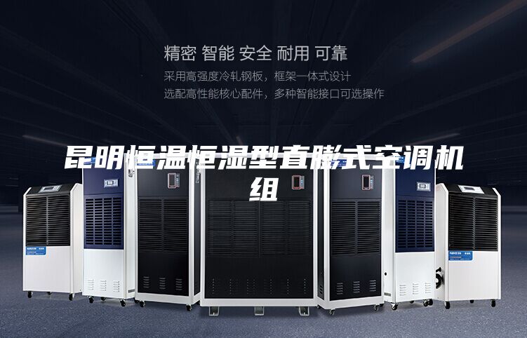 昆明恒温恒湿型直膨式空调机组