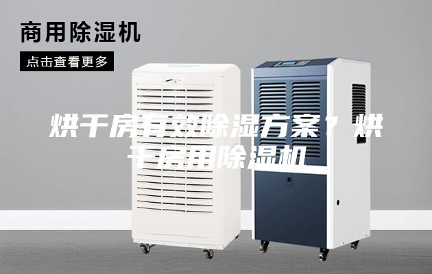 烘干房有效除湿方案？烘干房用除湿机