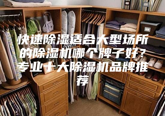 快速除湿适合大型场所的除湿机哪个牌子好？专业十大除湿机品牌推荐