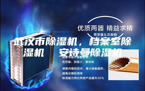 武汉市除湿机，档案室除湿机  安诗曼除湿机