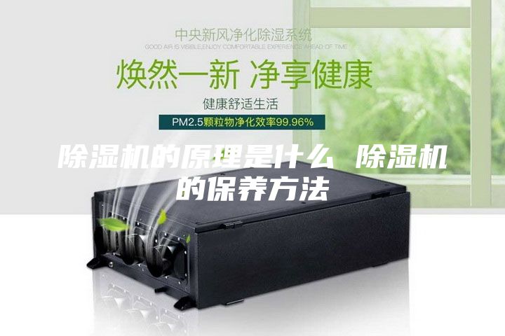 除湿机的原理是什么 除湿机的保养方法