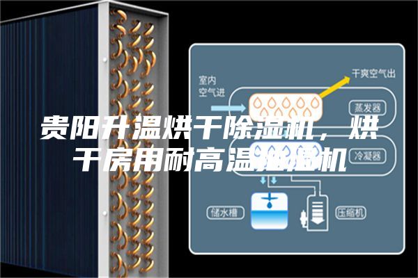贵阳升温烘干除湿机，烘干房用耐高温抽湿机