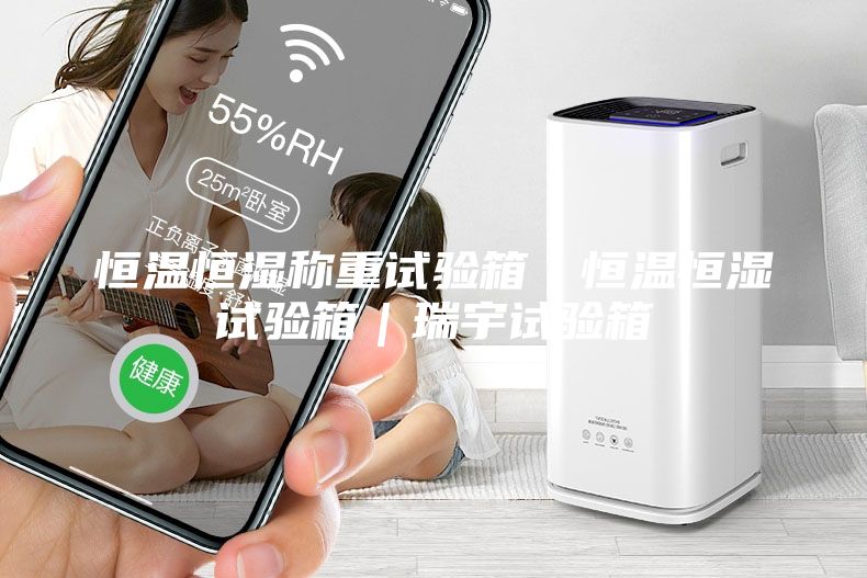 恒温恒湿称重试验箱｜恒温恒湿试验箱｜瑞宇试验箱