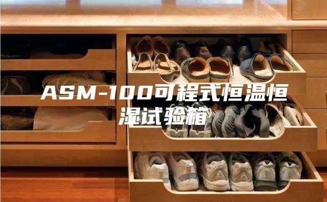 ASM-100可程式恒温恒湿试验箱