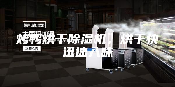 烤鸭烘干除湿机，烘干快迅速入味