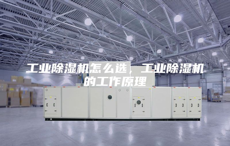 工业除湿机怎么选，工业除湿机的工作原理