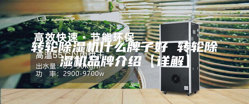 转轮除湿机什么牌子好 转轮除湿机品牌介绍【详解】