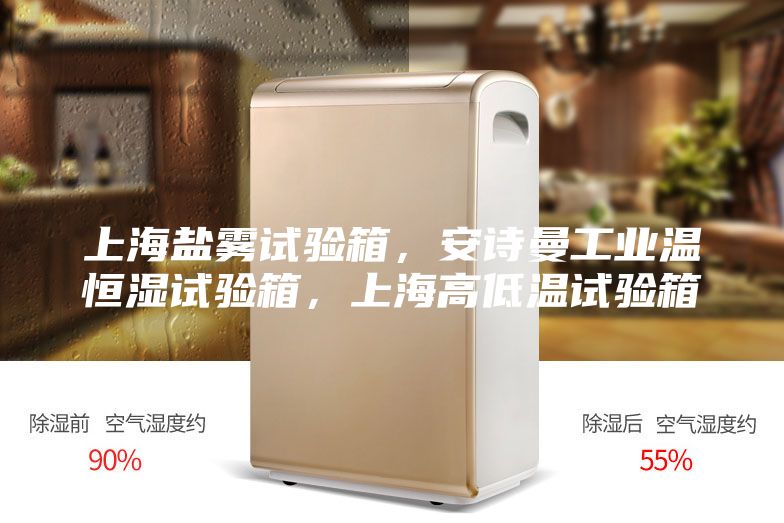 上海盐雾试验箱，安诗曼工业温恒湿试验箱，上海高低温试验箱