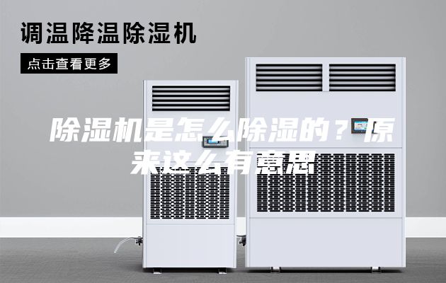 除湿机是怎么除湿的？原来这么有意思
