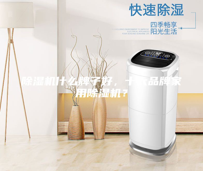 除湿机什么牌子好，十大品牌家用除湿机？