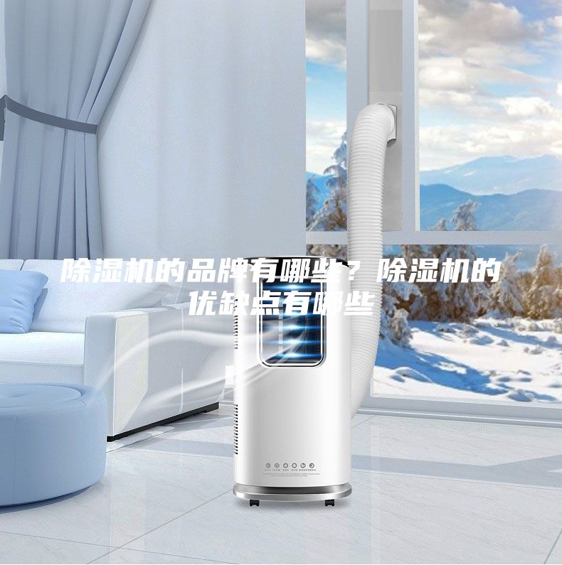 除湿机的品牌有哪些？除湿机的优缺点有哪些
