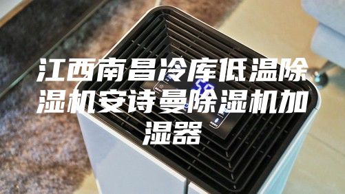 江西南昌冷库低温除湿机安诗曼除湿机加湿器