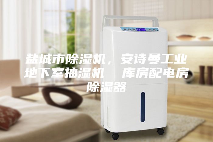 盐城市除湿机，安诗曼工业地下室抽湿机  库房配电房除湿器