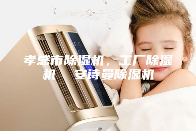 孝感市除湿机，工厂除湿机  安诗曼除湿机