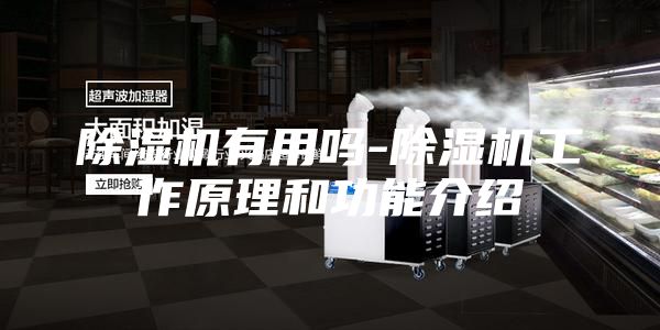 除湿机有用吗-除湿机工作原理和功能介绍
