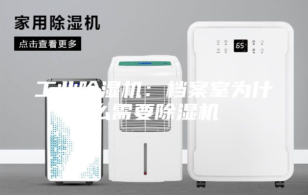 工业除湿机：档案室为什么需要除湿机