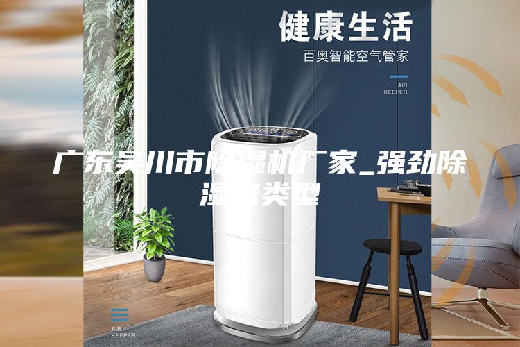 广东吴川市除湿机厂家_强劲除湿器类型
