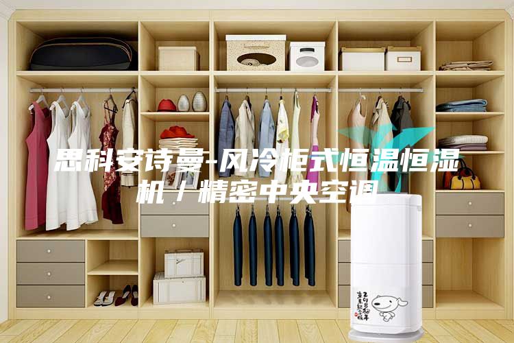 思科安诗曼-风冷柜式恒温恒湿机／精密中央空调
