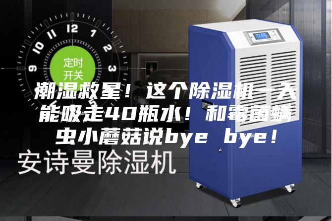 潮湿救星！这个除湿机一天能吸走40瓶水！和霉菌螨虫小蘑菇说bye bye！