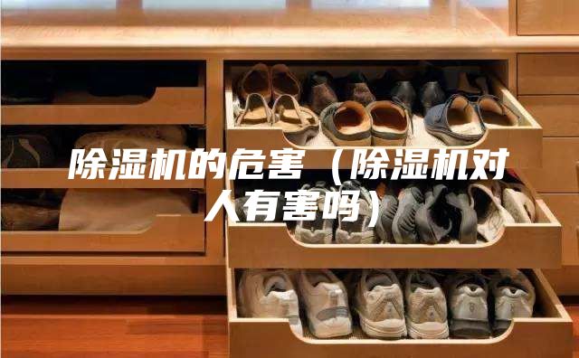 除湿机的危害（除湿机对人有害吗）