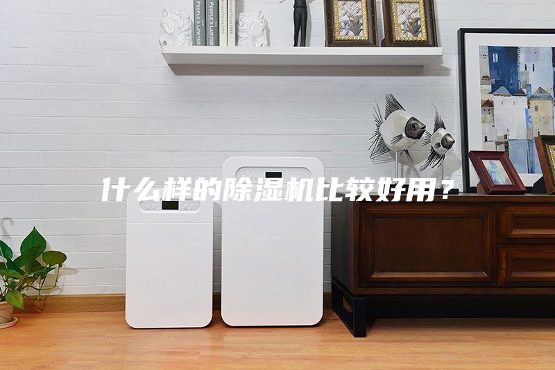 什么样的除湿机比较好用？