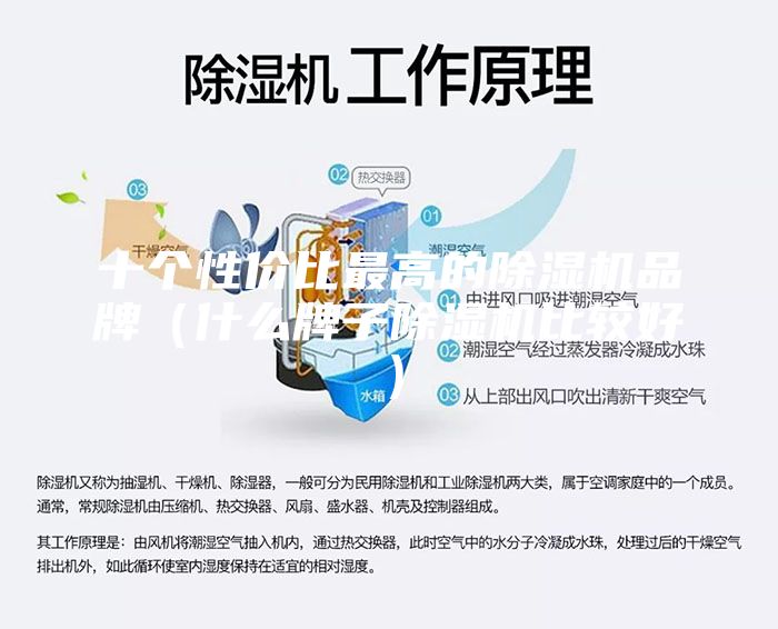 十个性价比最高的除湿机品牌（什么牌子除湿机比较好）