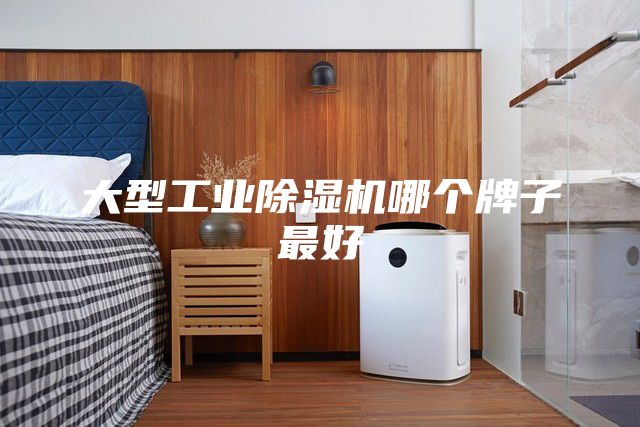 大型工业除湿机哪个牌子最好