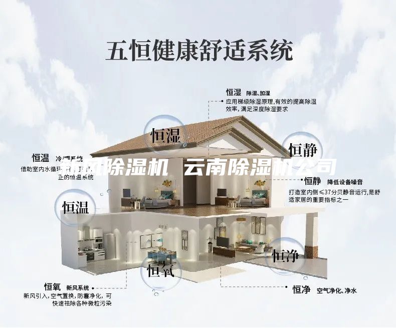 新风除湿机 云南除湿机公司