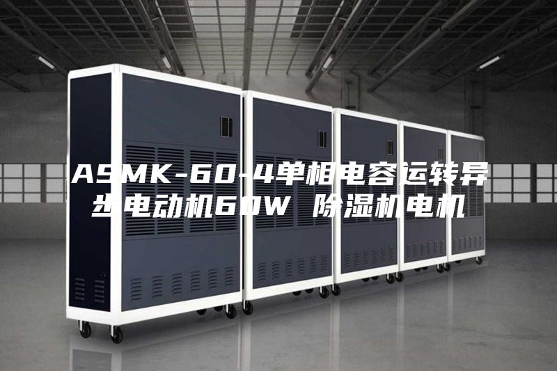 ASMK-60-4单相电容运转异步电动机60W 除湿机电机